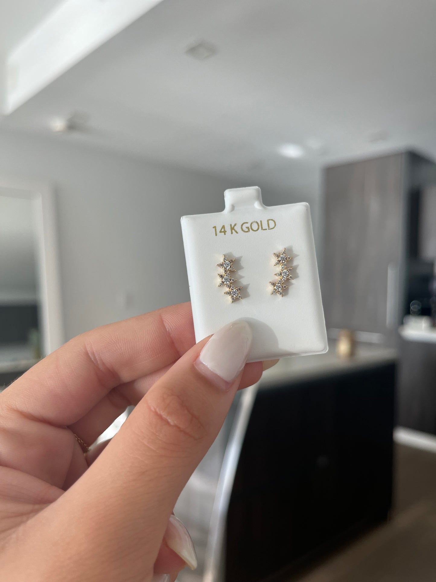Estrella del Norte Earrings 14k