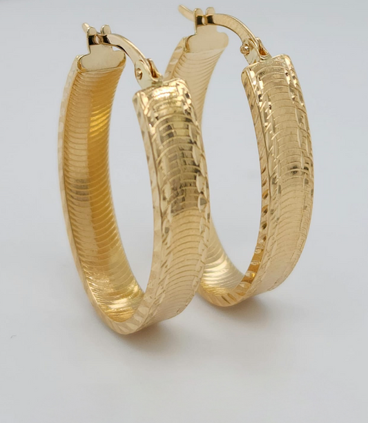 Arona Earrings main image 1