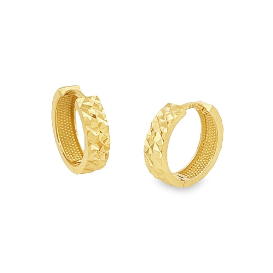 Golden elegance hoop earrings
